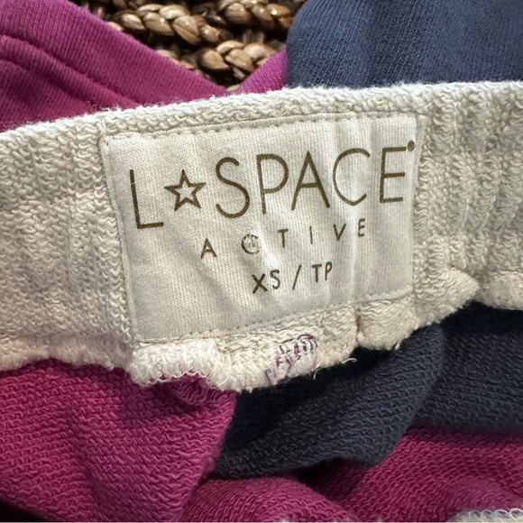 L*SPACE Active Colorblock Purple Don’t Sweat It Sidelined Short - Picture 9 of 11